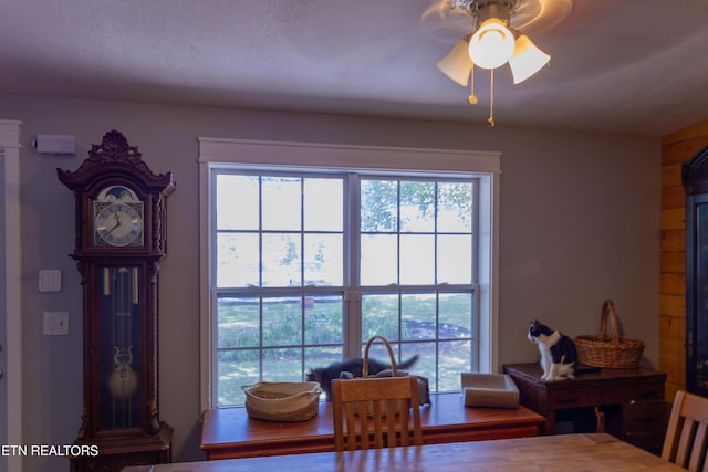 854 Oliver Ave, Seymour, TN 37865 - photo 13
