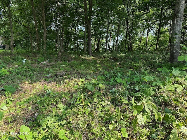 0 Black Oak Estate Rd, Dayton, TN 37321 - photo 1