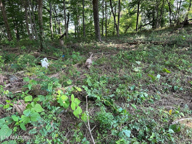 0 Black Oak Estate Rd, Dayton, TN 37321 - photo 2