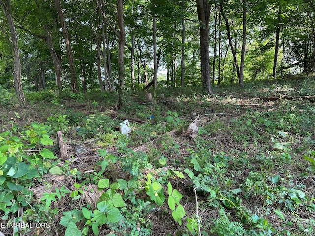0 Black Oak Estate Rd, Dayton, TN 37321 - photo 3