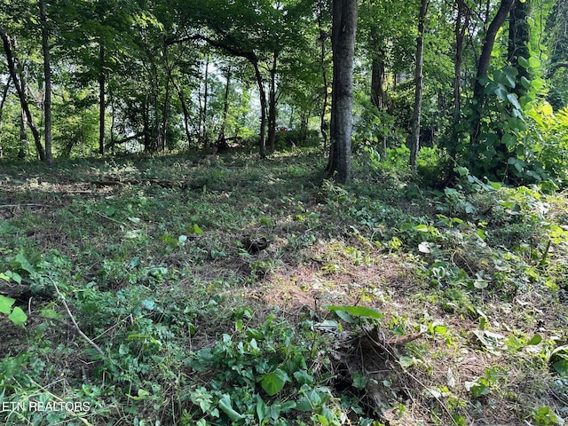 0 Black Oak Estate Rd, Dayton, TN 37321 - photo 4