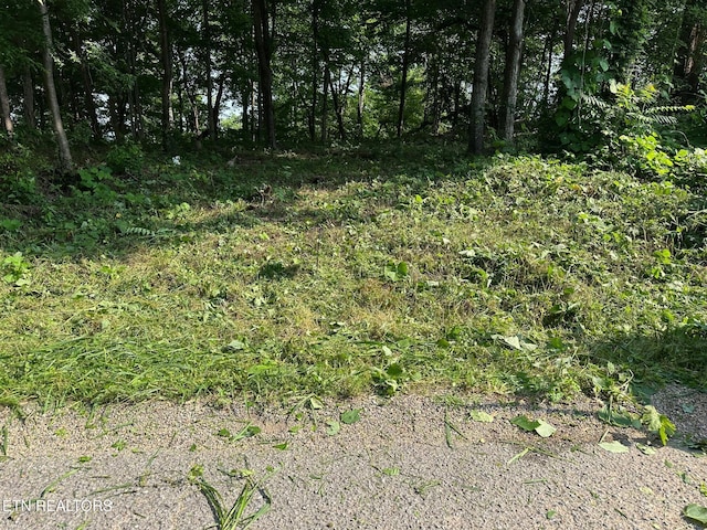 0 Black Oak Estate Rd, Dayton, TN 37321 - photo 5