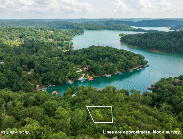 LOT21 Buckeye Lndg, Lafollette, TN 37766 - photo 3