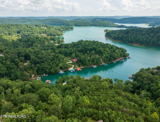 LOT21 Buckeye Lndg, Lafollette, TN 37766 - photo 4