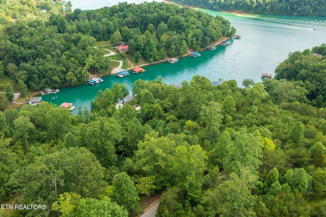 LOT21 Buckeye Lndg, Lafollette, TN 37766 - photo 5