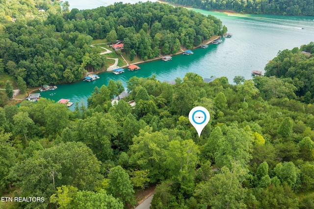 LOT21 Buckeye Lndg, Lafollette, TN 37766 - photo 6