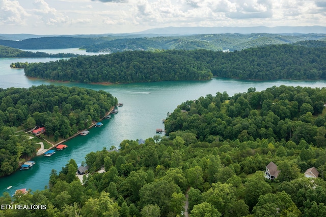 LOT21 Buckeye Lndg, Lafollette, TN 37766 - photo 7
