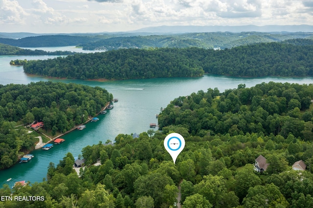 LOT21 Buckeye Lndg, Lafollette, TN 37766 - photo 1