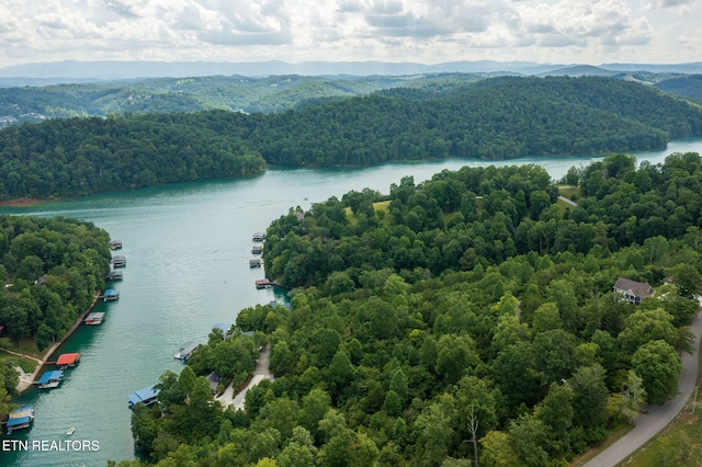LOT21 Buckeye Lndg, Lafollette, TN 37766 - photo 8