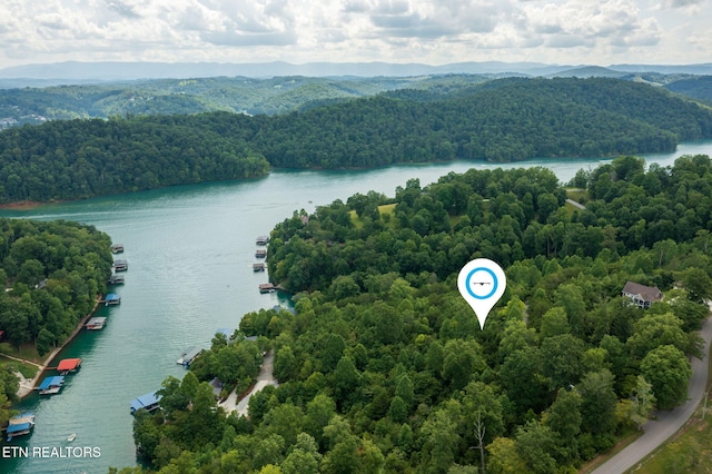 LOT21 Buckeye Lndg, Lafollette, TN 37766 - photo 2