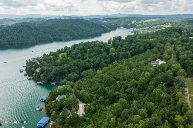 LOT21 Buckeye Lndg, Lafollette, TN 37766 - photo 9