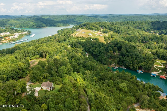 LOT21 Buckeye Lndg, Lafollette, TN 37766 - photo 20