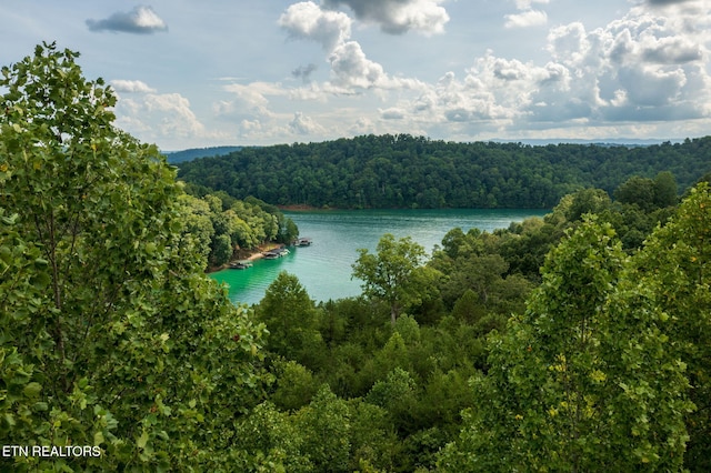 LOT21 Buckeye Lndg, Lafollette, TN 37766 - photo 23