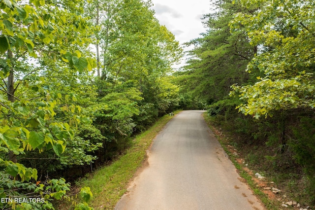 LOT21 Buckeye Lndg, Lafollette, TN 37766 - photo 24