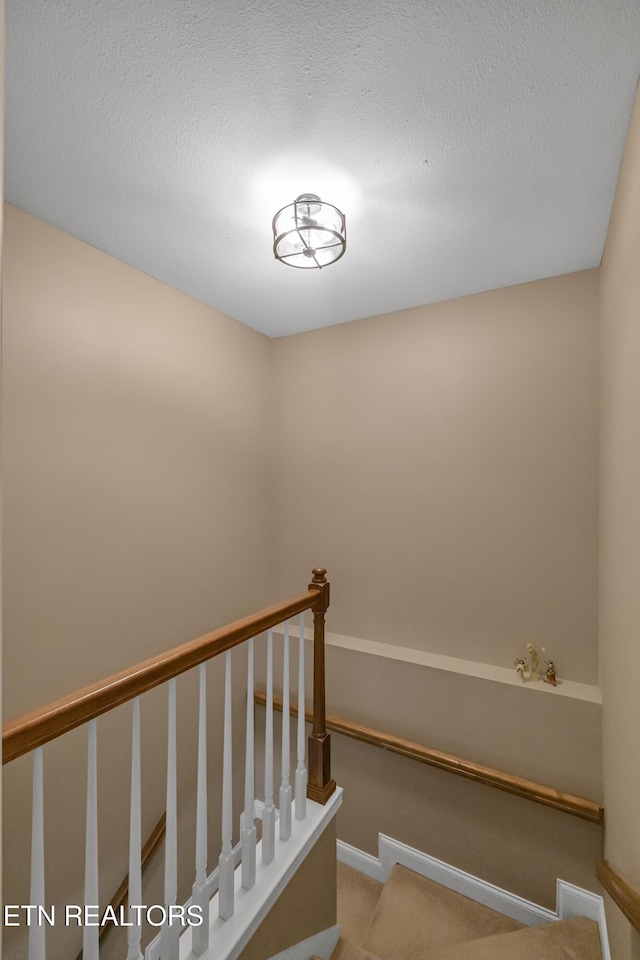 18 Bingham Way, Crossville, TN 38558 - photo 20