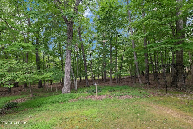 18 Bingham Way, Crossville, TN 38558 - photo 29