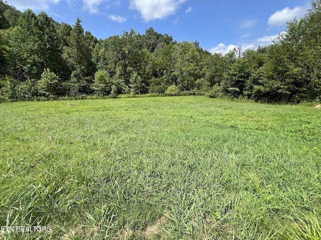 0 County Road 100, Athens, TN 37303 - photo 6