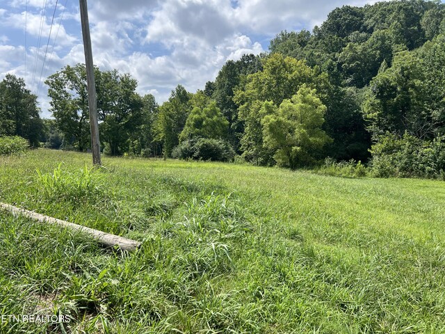 0 County Road 100, Athens, TN 37303 - photo 7