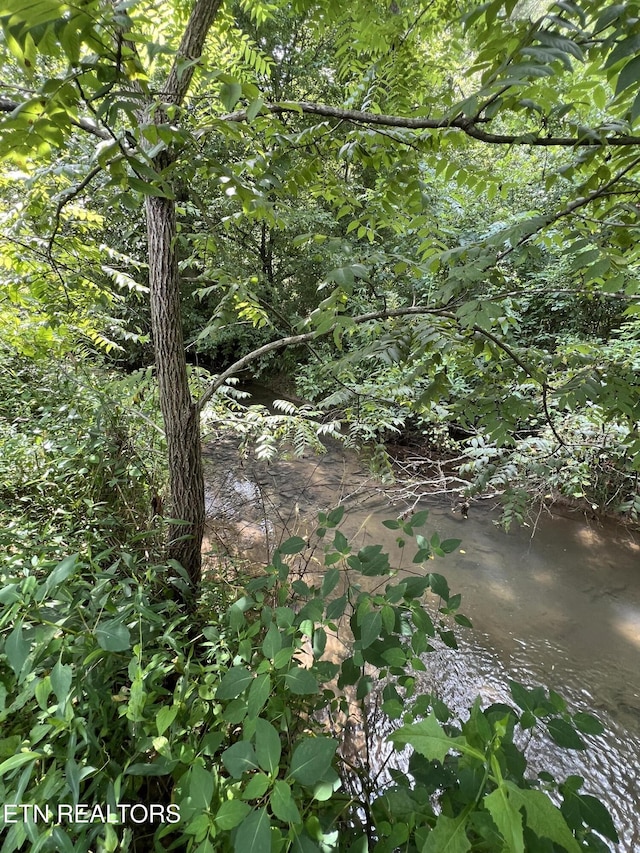 0 County Road 100, Athens, TN 37303 - photo 8