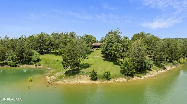 3850 Mcdonald Way, Sevierville, TN 37876 - photo 9