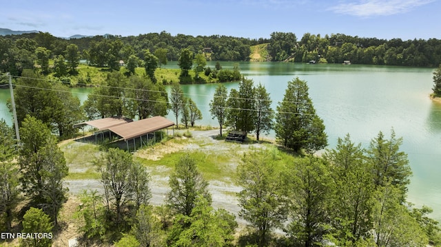 3850 Mcdonald Way, Sevierville, TN 37876 - photo 5