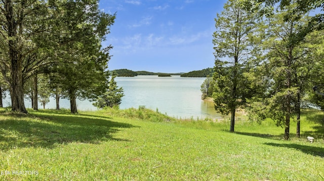 3850 Mcdonald Way, Sevierville, TN 37876 - photo 23