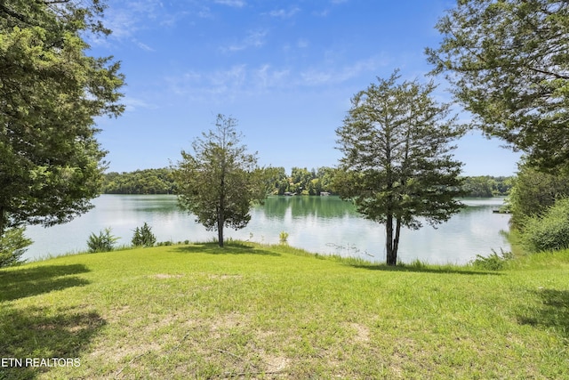 3850 Mcdonald Way, Sevierville, TN 37876 - photo 34