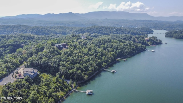 Fishtail Cv, Dandridge, TN 37725 - photo 11