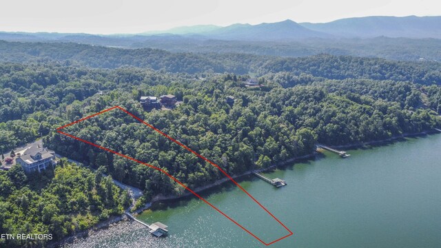 Fishtail Cv, Dandridge, TN 37725 - photo 10