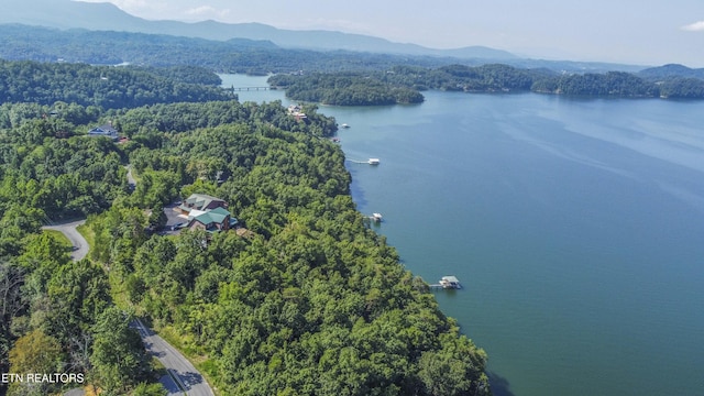 Fishtail Cv, Dandridge, TN 37725 - photo 14