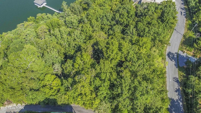 Fishtail Cv, Dandridge, TN 37725 - photo 8