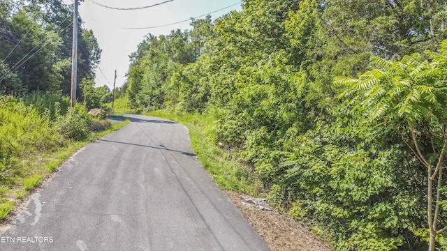 Fishtail Cv, Dandridge, TN 37725 - photo 3