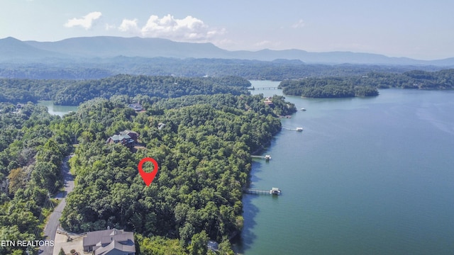 Fishtail Cv, Dandridge, TN 37725 - photo 12