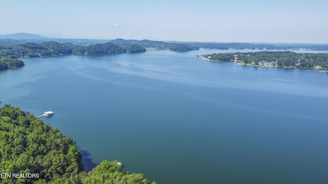 Fishtail Cv, Dandridge, TN 37725 - photo 2