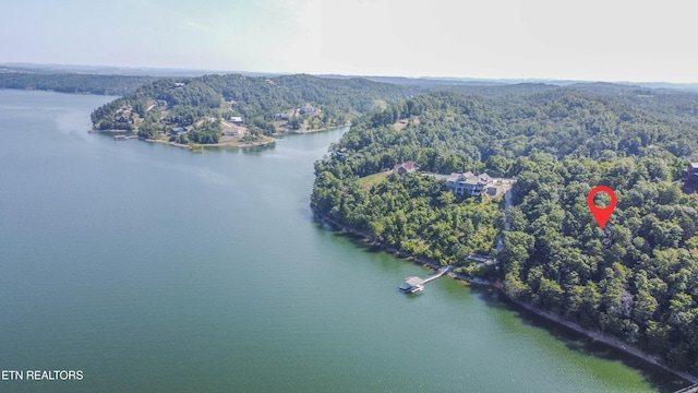Fishtail Cv, Dandridge, TN 37725 - photo 6