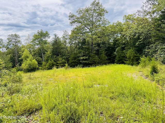 Collins Tpke, Deer Lodge, TN 37726 - photo 1