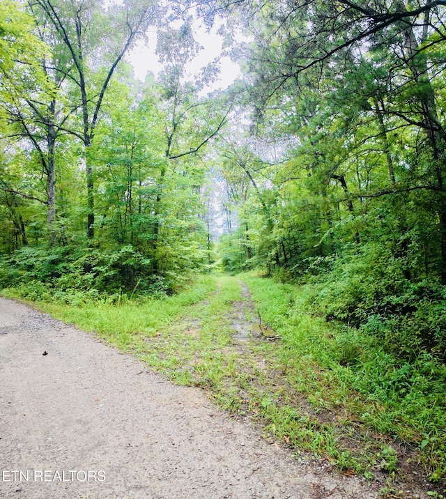 Collins Tpke, Deer Lodge, TN 37726 - photo 2