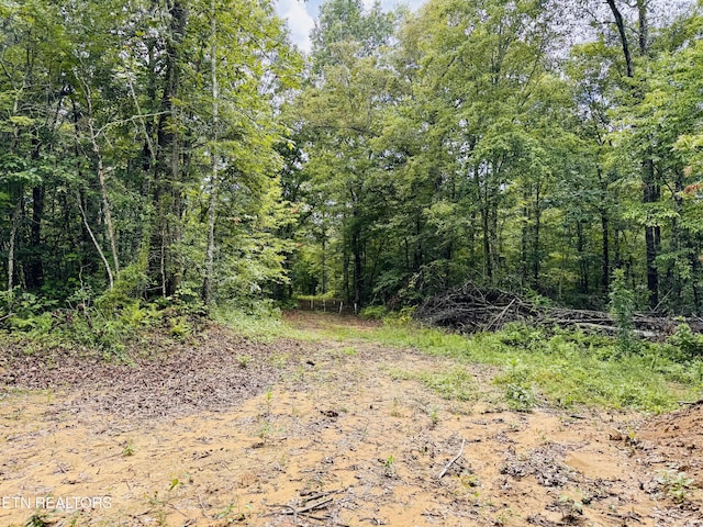 Collins Tpke, Deer Lodge, TN 37726 - photo 6