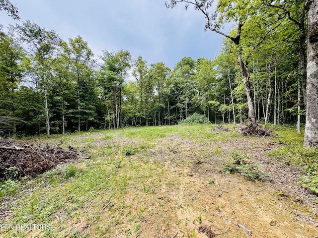 Collins Tpke, Deer Lodge, TN 37726 - photo 7