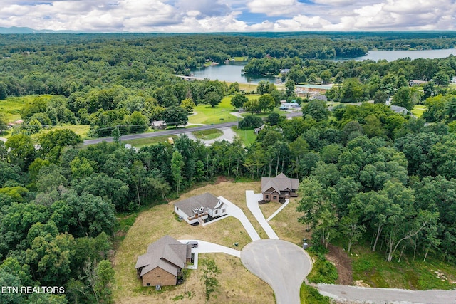 4 Riverchase Dr, Crossville, TN 38571 - photo 44