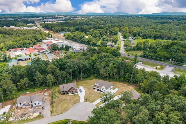 4 Riverchase Dr, Crossville, TN 38571 - photo 46