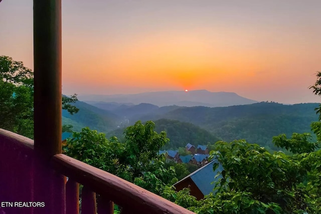 948 Black Bear Cub Way, Sevierville, TN 37862 - photo 3