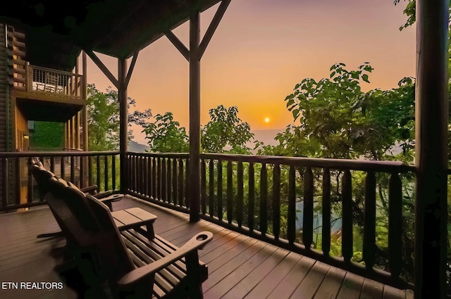 948 Black Bear Cub Way, Sevierville, TN 37862 - photo 2
