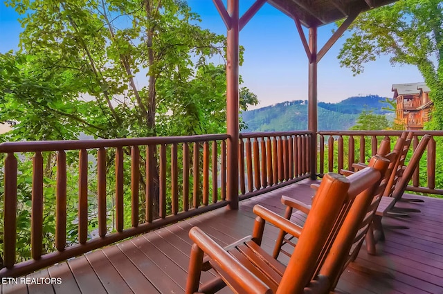 948 Black Bear Cub Way, Sevierville, TN 37862 - photo 48