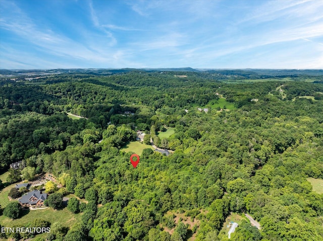 0 Swafford Rd, Knoxville, TN 37932 - photo 2