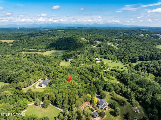 0 Swafford Rd, Knoxville, TN 37932 - photo 6
