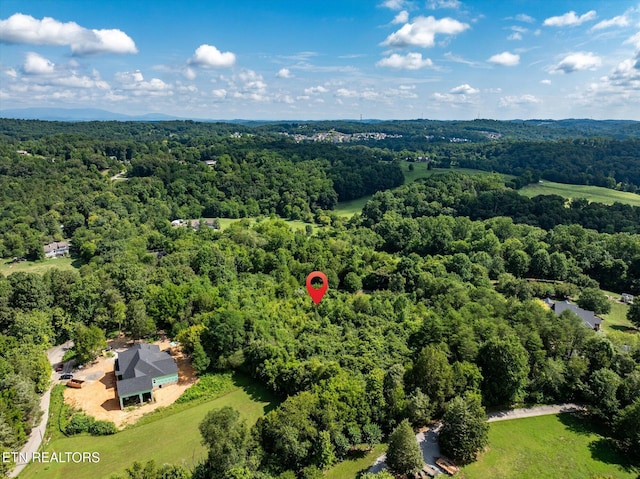 0 Swafford Rd, Knoxville, TN 37932 - photo 10