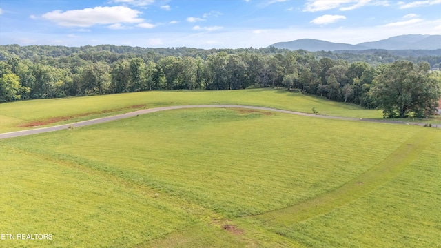 Old Farm Ln, Sevierville, TN 37876 - photo 1