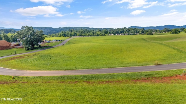Old Farm Ln, Sevierville, TN 37876 - photo 10