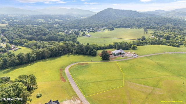 Old Farm Ln, Sevierville, TN 37876 - photo 11